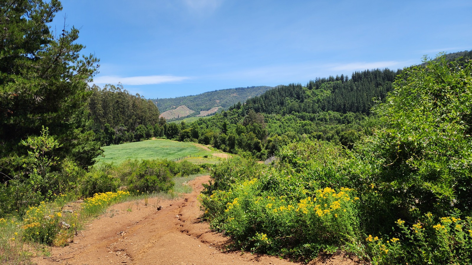 Senderos de la reserva