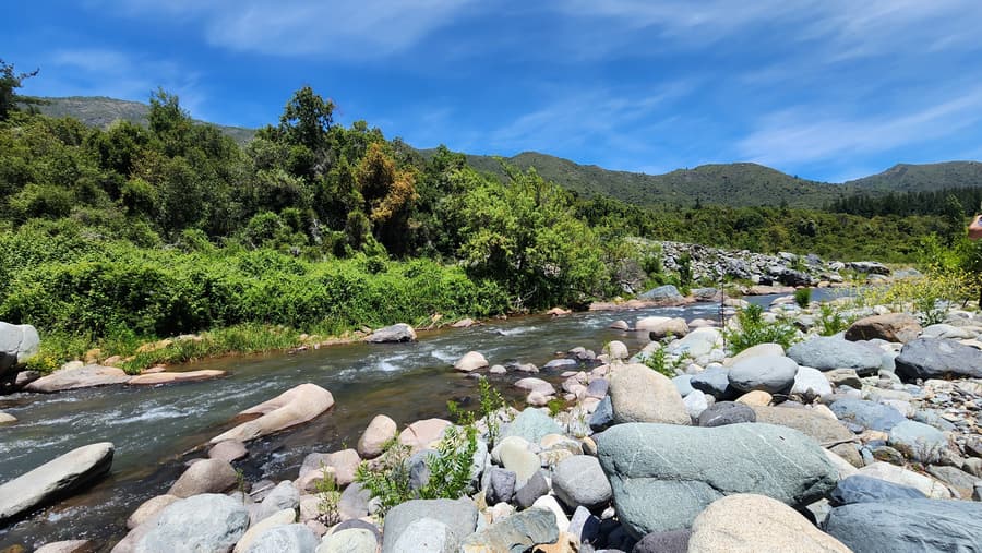 Viña cordillera