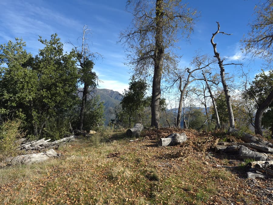Paisaje cordillerano